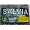 La Salvia, Te de Salvia, Salvia Comun :   Sage Herbs Tea, salvia officinalis, Common sage